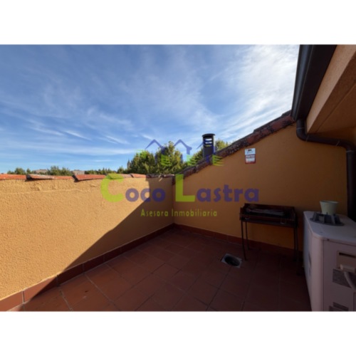 Terraza 